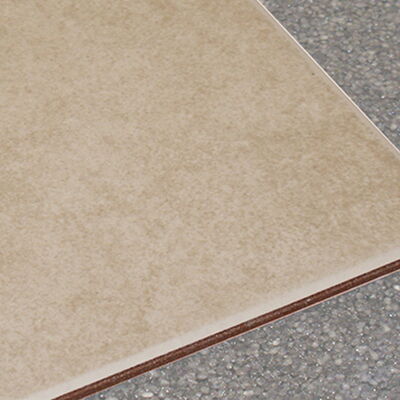 Cerazorb HD for Tile & Stone