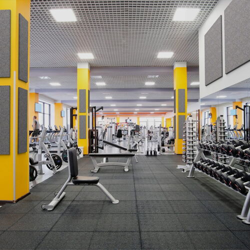 Fitness Gym with acoustical panels