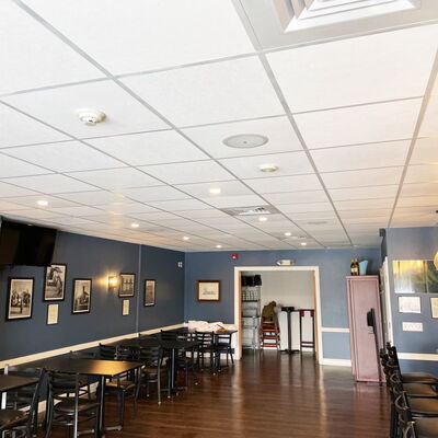 Paintable Ceiling Tiles