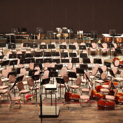 acoustic panels orchestra