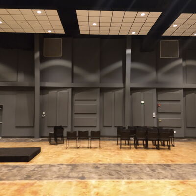 acoustics in large spaces
