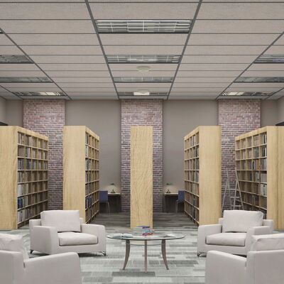 Library Ceiling Tiles