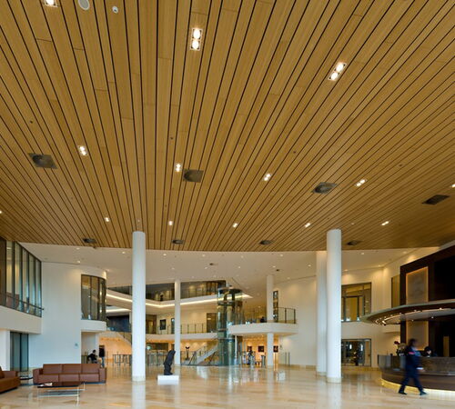 CeraZorb® LD Underlayment