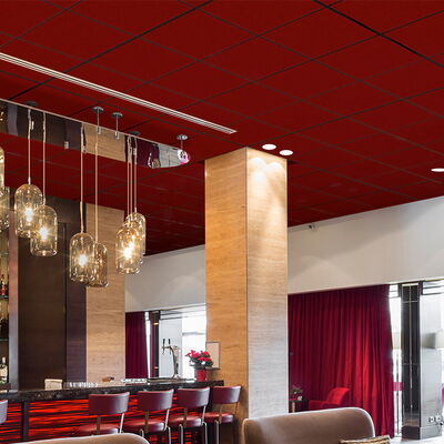 Paintable Acoustic Ceiling Tiles