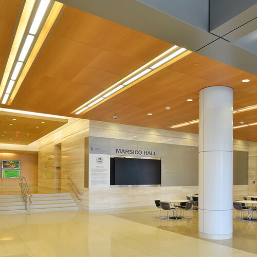 Select Acoustical Wood