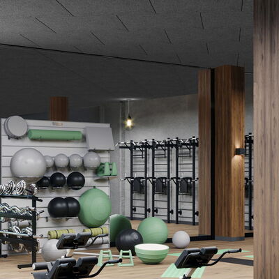 Gym Ceilings