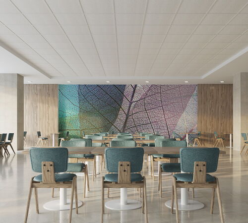 Acoustical Ceiling Tiles - Ceiling Tiles