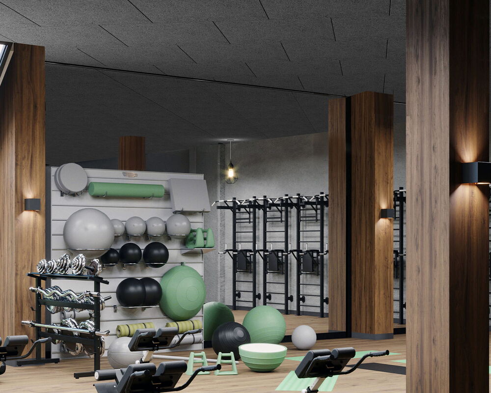 Gym Ceilings